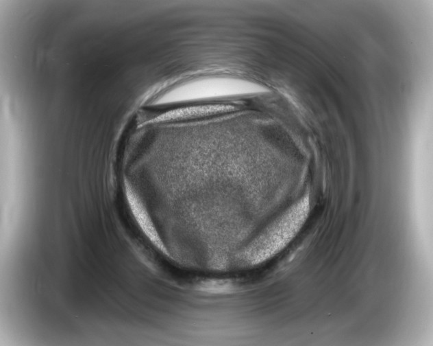 X0000085770252200704091358