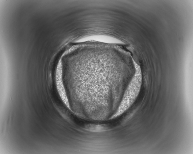 X0000085770254200704091358