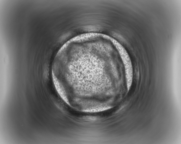 X0000085770255200704091358