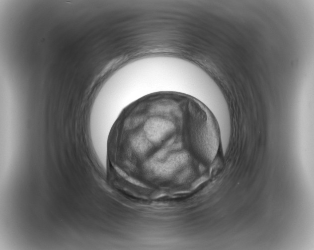 X0000085770256200704091358