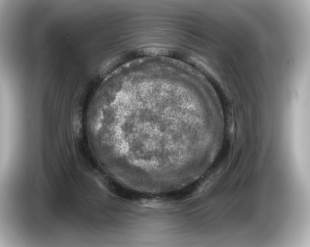 X0000085770259200704091358