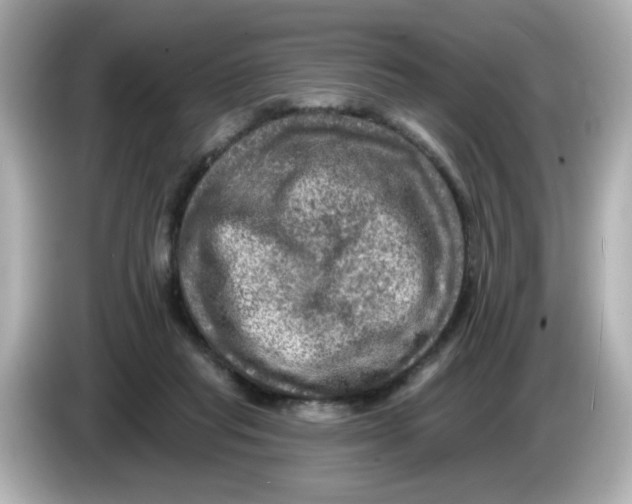 X0000085770261200704091358