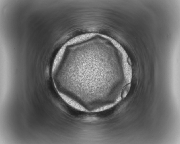 X0000085770262200704091358