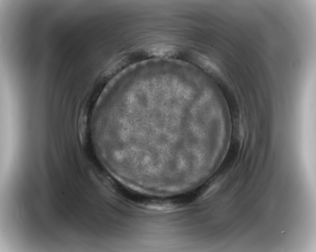 X0000085770263200704091358