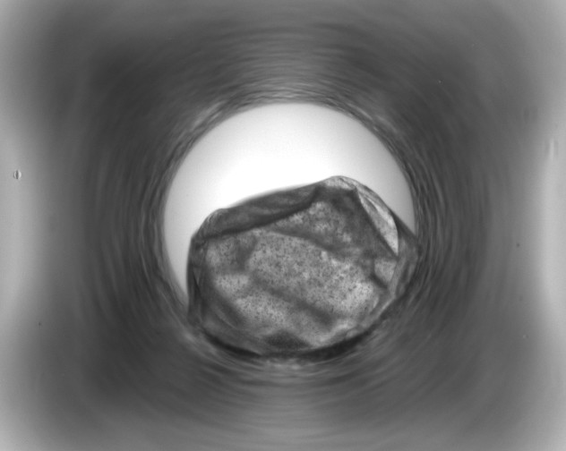 X0000085770264200704091358