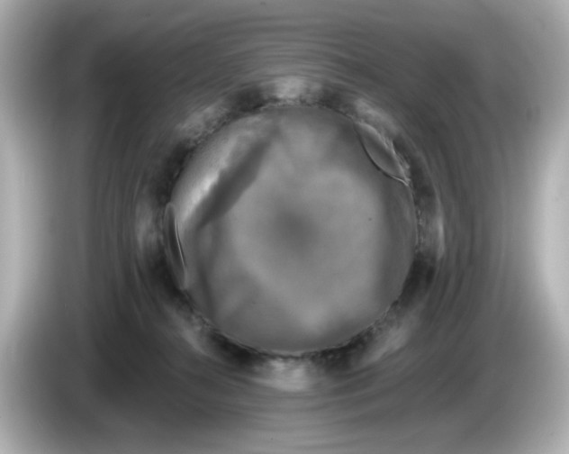 X0000085770272200704091358