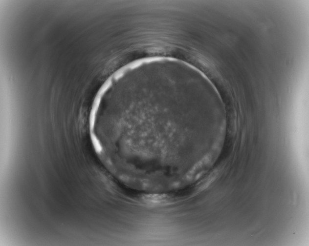 X0000085770273200704091358