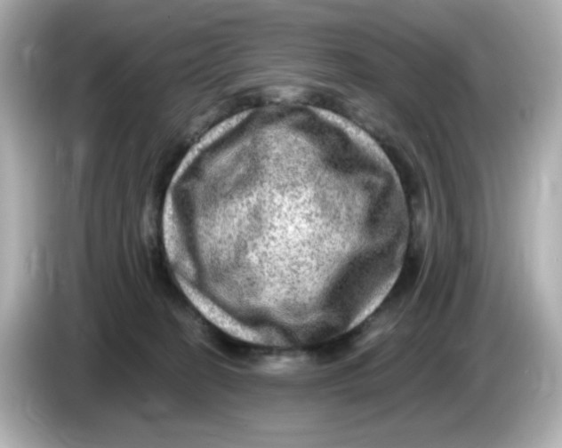 X0000085770274200704091358