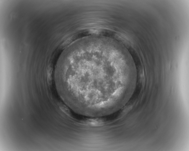 X0000085770275200704091358