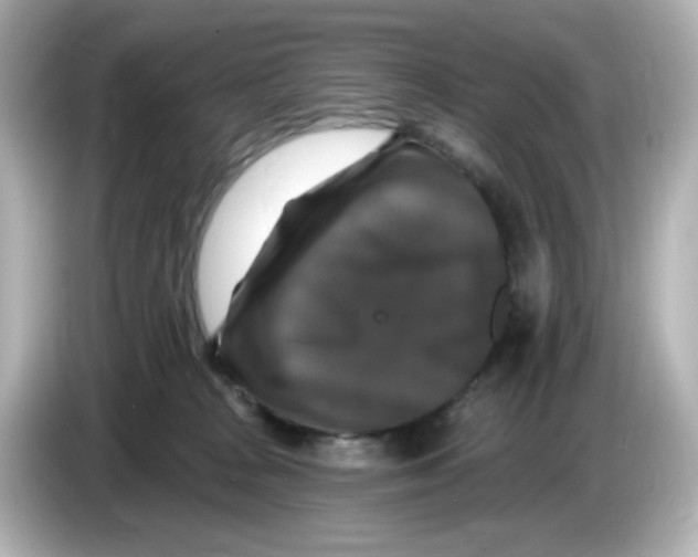 X0000085770277200704091358