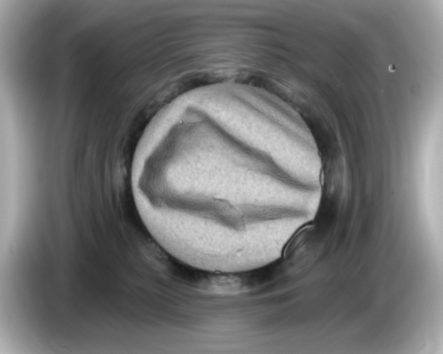 X0000085770279200704091358