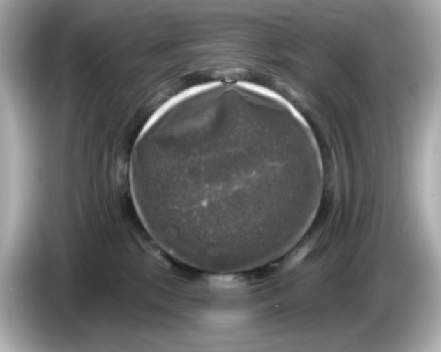 X0000085770281200704091358