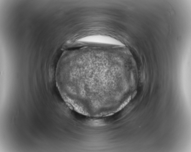 X0000085770283200704091358