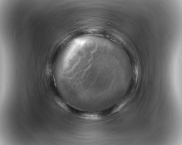 X0000085770284200704091358