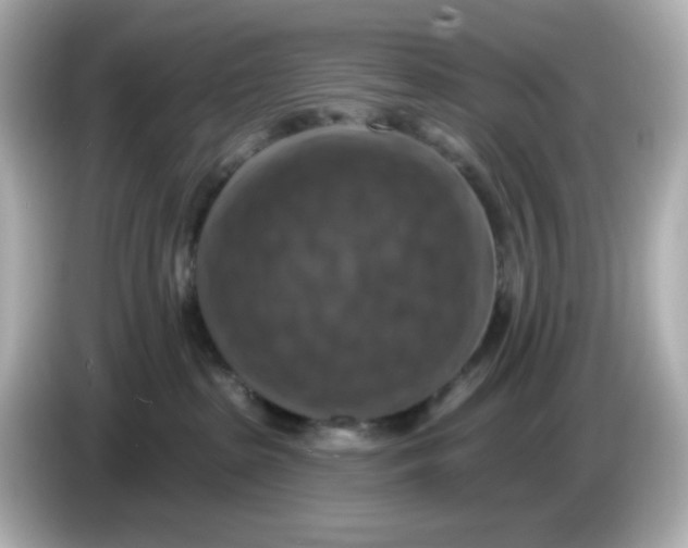 X0000085770285200704091358