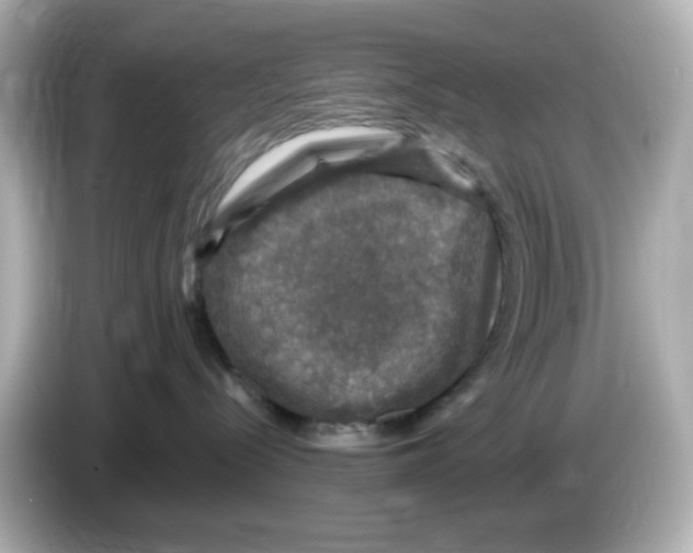 X0000085770288200704091358