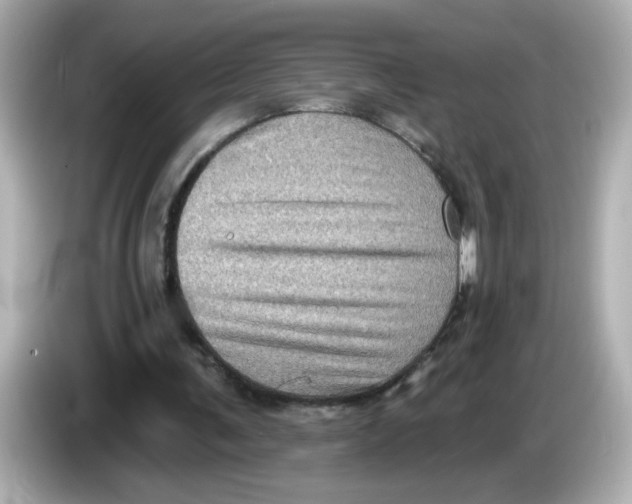 X0000085770291200704091357