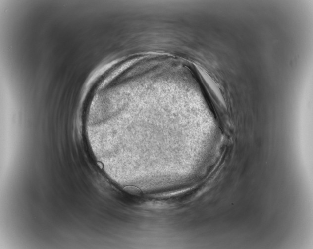 X0000085770294200704091357