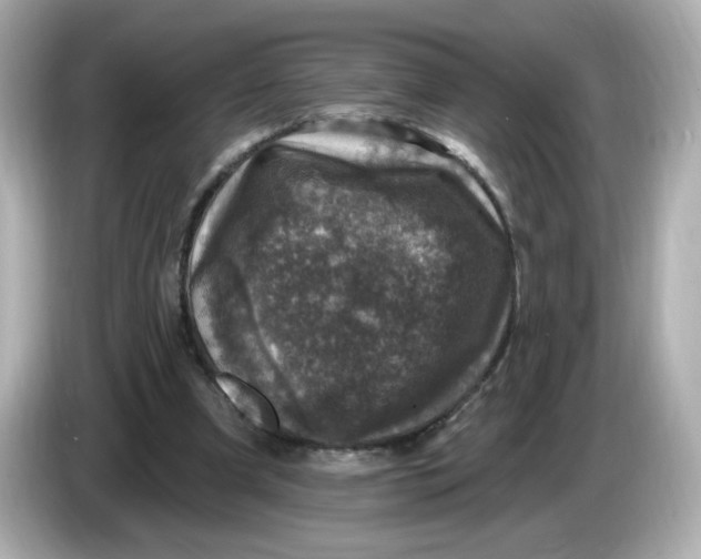 X0000085770297200704091357