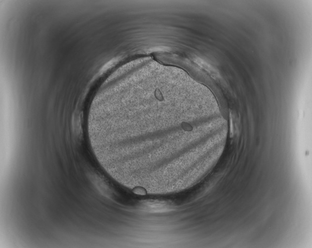 X0000085770300200704091357