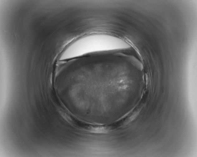 X0000085770301200704091357