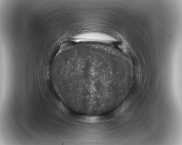 X0000085770313200704091357