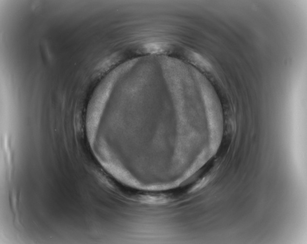 X0000085770317200704091357