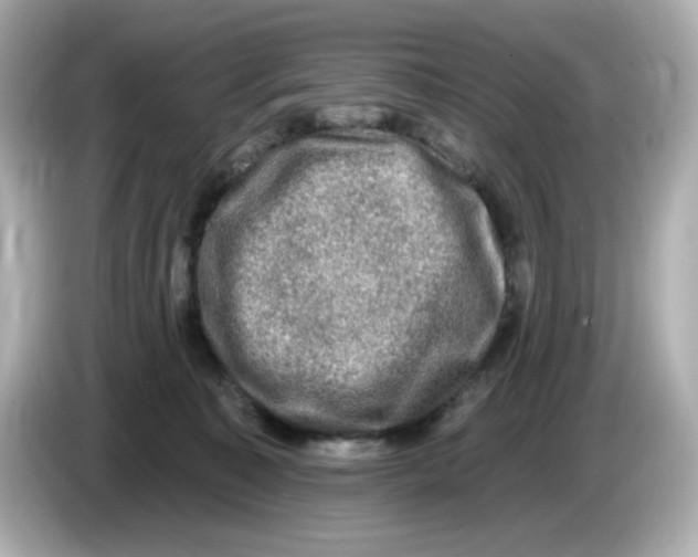 X0000085770323200704091357