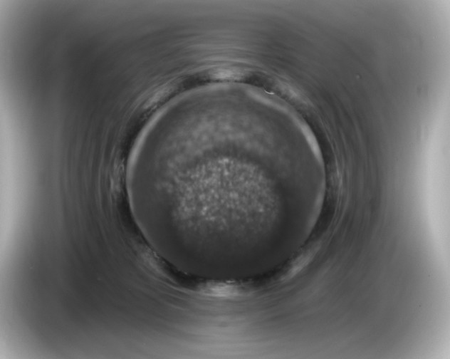 X0000085770325200704091357