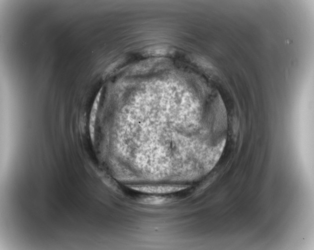 X0000085770326200704091357