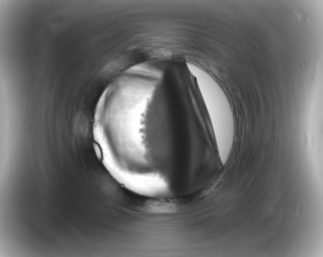 X0000085770331200704091357