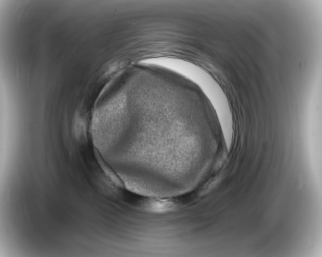 X0000085770333200704091357