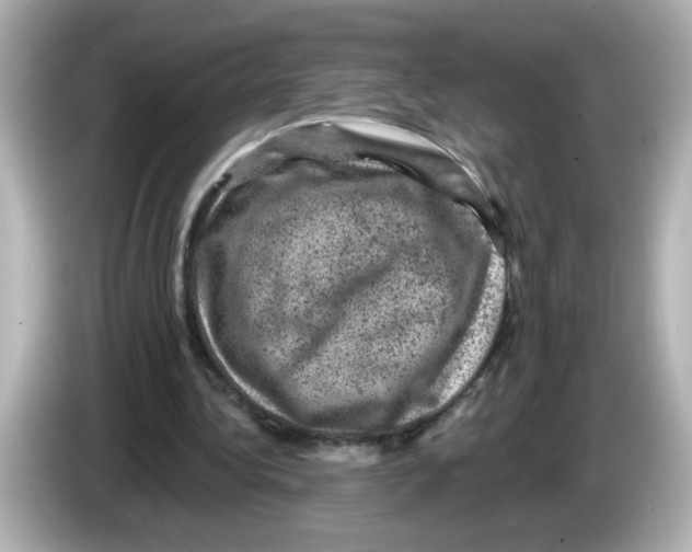 X0000085770340200704091356