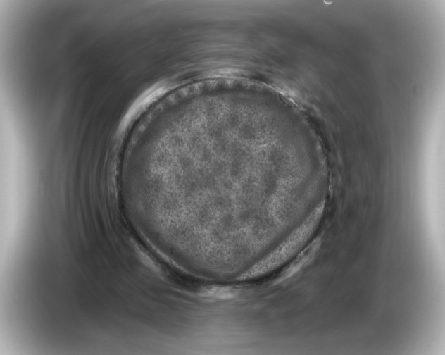 X0000085770341200704091356