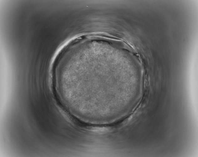 X0000085770342200704091356