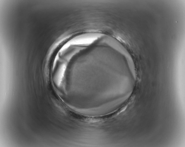 X0000085770343200704091356