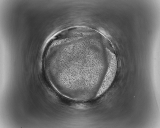 X0000085770344200704091356