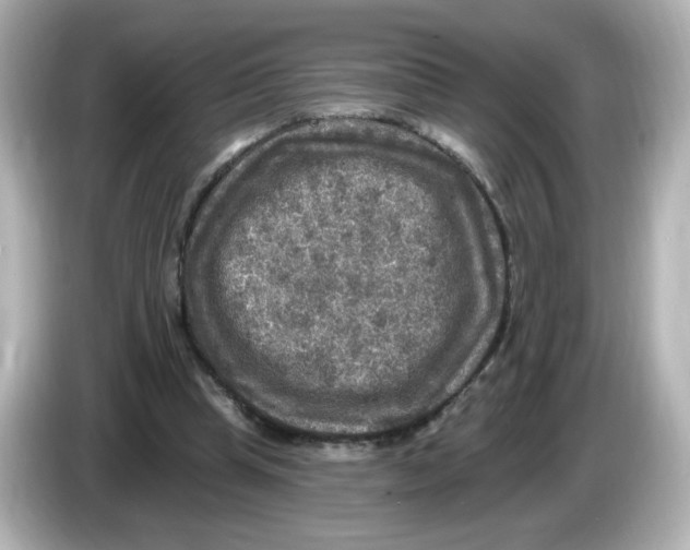 X0000085770345200704091356