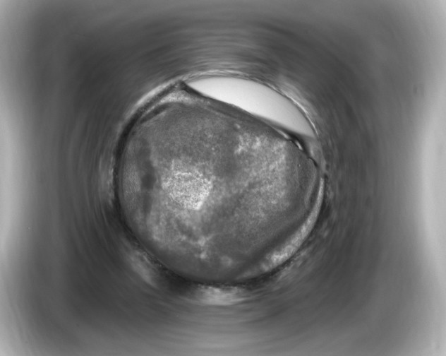 X0000085770346200704091356