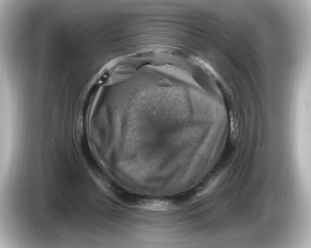 X0000085770348200704091357