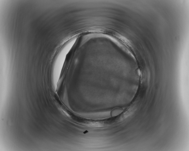 X0000085770349200704091357