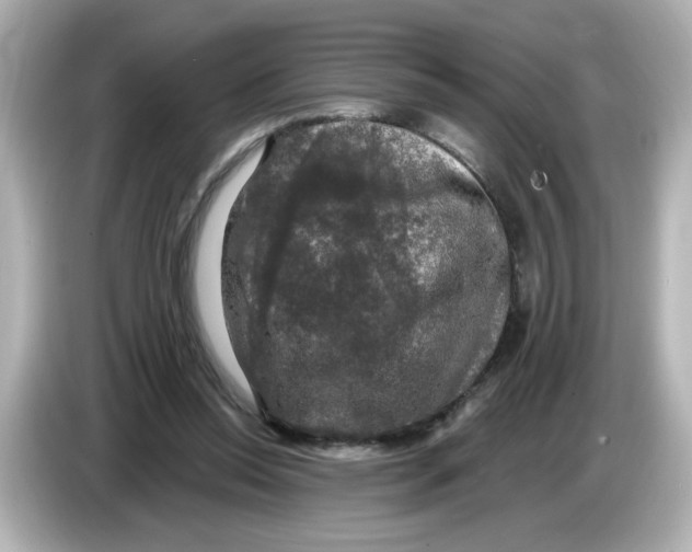 X0000085770350200704091357