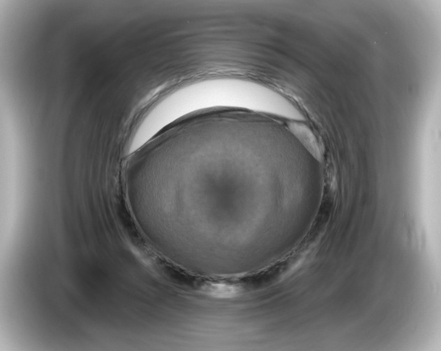 X0000085770352200704091357