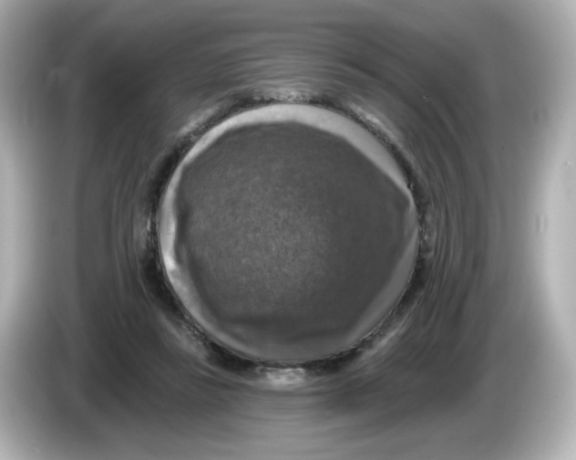 X0000085770355200704091357