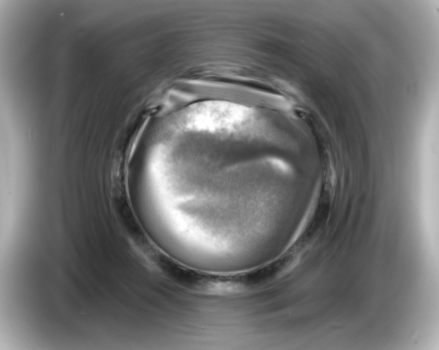 X0000085770360200704091357