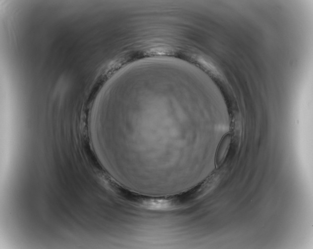 X0000085770361200704091357