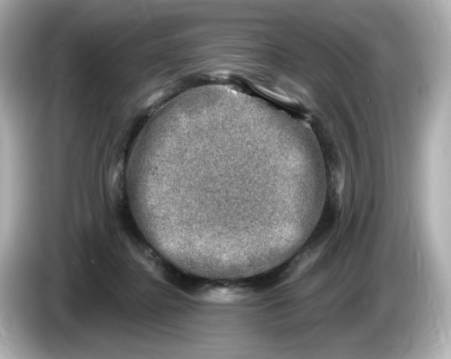 X0000085770364200704091357