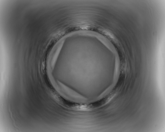 X0000085770365200704091357