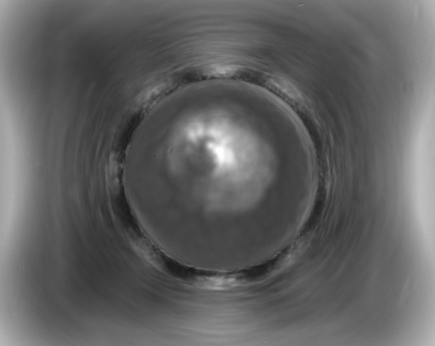 X0000085770366200704091357