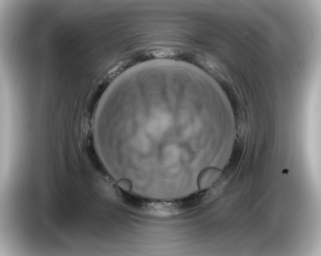 X0000085770367200704091357